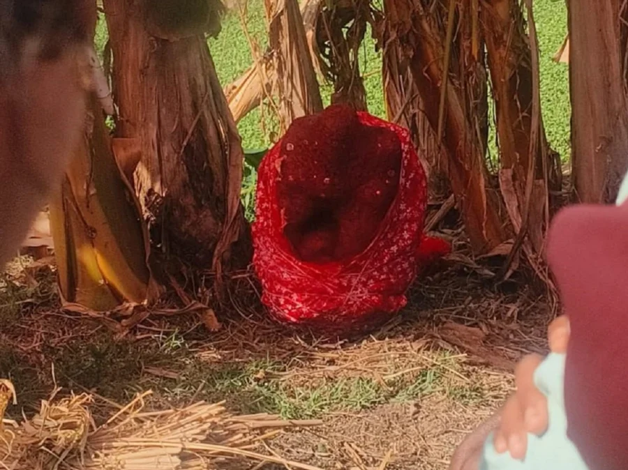 Alert Durga Murti Stolen From Bengal Temple Thrown Pond