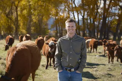 AI Cowgorithm Halter Farming Technology Revolution