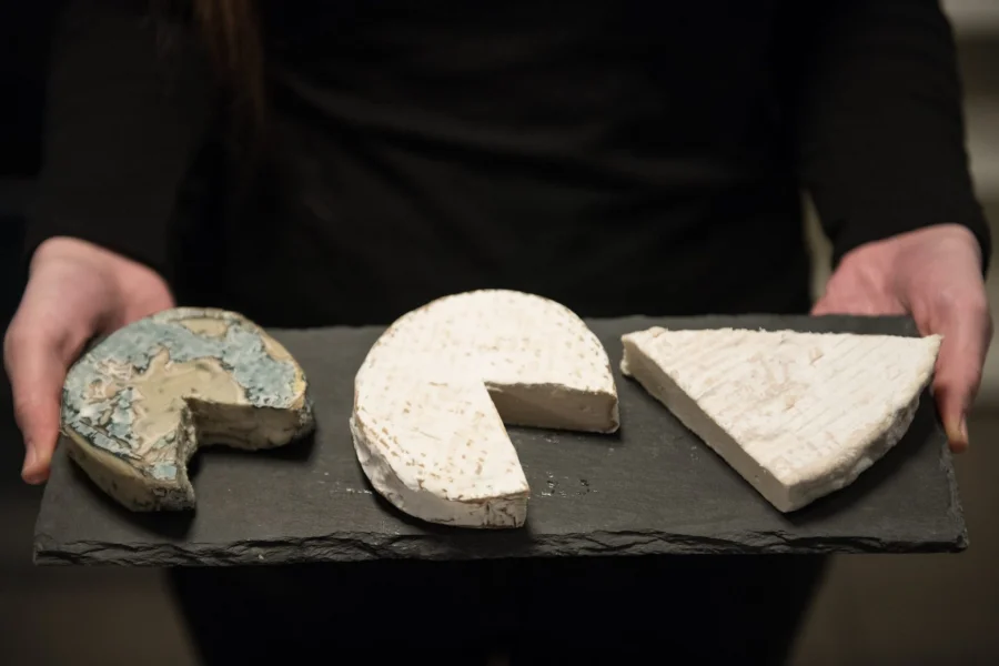 AI Agent Saves Vegan Cheese Startup $400K