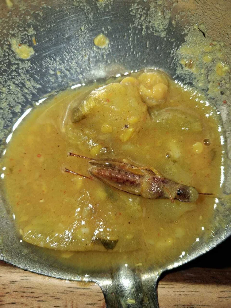 पूर्णिया स्कूल में एमडीएम में कीड़ा मिलने से हंगामा